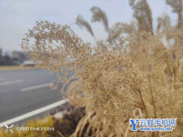 OPPOFindX5Pro真机上手测评-手机开箱测评(4/8)