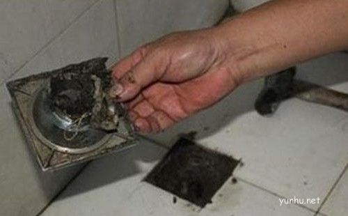 如何去除卫生间下水道的臭味|四大妙招轻松除味