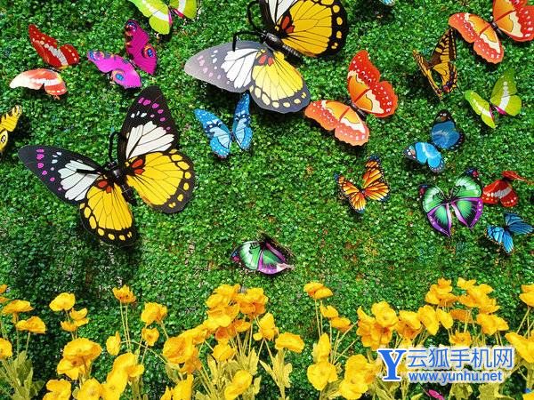 荣耀Play6T手机开箱测评-真机上手评测(图文)(3/4)