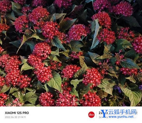 小米12SPro全面评测-性能深度测评(6/6)