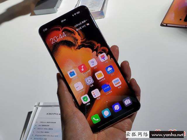 vivox30和x30pro的区别（vivox30与x30pro详细对比）(3)