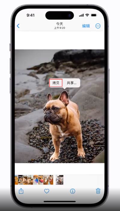 苹果 iOS 16 自带一键抠图功能，来看看怎么用