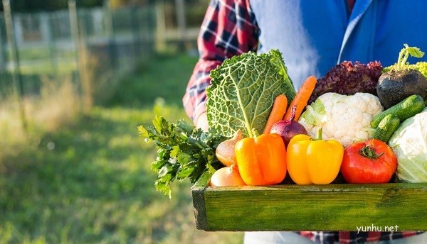 多多买菜缺货的情况如何解决(图文)