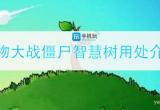 植物大战僵尸智慧树能长多高-智慧树用处介绍